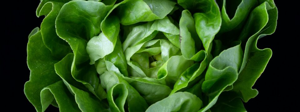 Dieta ziemniaczana – zasady, efekty i przepisy na odchudzanie