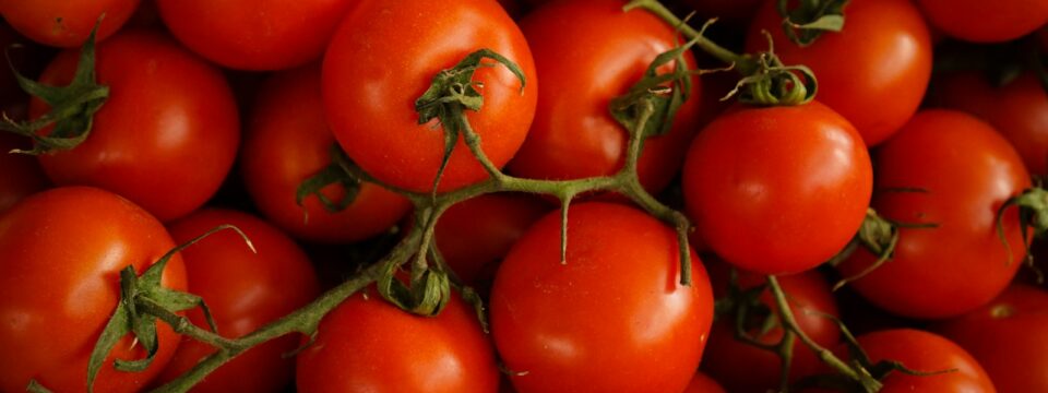 Dieta mięsna – zasady, korzyści i ryzyko zdrowotne