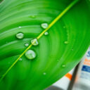 SPF do cery tłustej – wybór produktu i stosowanie: lepsza tekstura, nawilżenie i komfort w praktyce